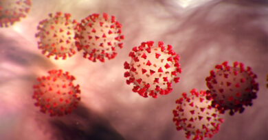 Covid 19 live: 659 pozitivnih na virus, 10 preminulih do sada, vikendom zabrana kretanja od 15 časova, ukinuto šetanje pasa, pijace se zatvaraju Covid 19 live: 659 pozitivnih na virus, 10 preminulih do sada, vikendom zabrana kretanja od 15 časova, ukinuto šetanje pasa, pijace se zatvaraju