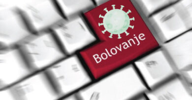 Боловања и зараде током изолације Боловања и зараде током изолације