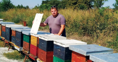 Климатске промене лоше за пчеларе Климатске промене лоше за пчеларе
