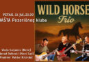 Gradsko pozorište: Veče bluz muzike sa „Wild Horses Trio“