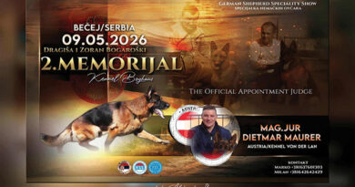 2. Memorijal, Dragiša i Zoran Bogaroški